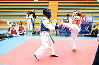 21022026torneo_tae_kwon_do2026239.jpg