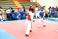 21022026torneo_tae_kwon_do2026242.jpg