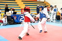 21022026torneo_tae_kwon_do2026244.jpg