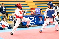 21022026torneo_tae_kwon_do2026248.jpg
