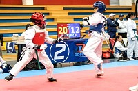 21022026torneo_tae_kwon_do2026249.jpg