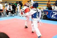 21022026torneo_tae_kwon_do2026261.jpg