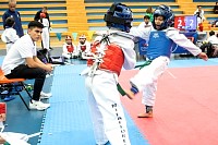 21022026torneo_tae_kwon_do2026268.jpg