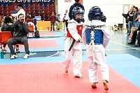 21022026torneo_tae_kwon_do2026272.jpg