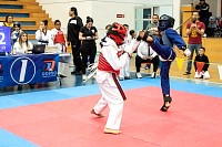 21022026torneo_tae_kwon_do2026284.jpg