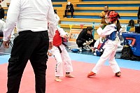 21022026torneo_tae_kwon_do2026291.jpg