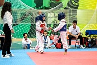 21022026torneo_tae_kwon_do2026296.jpg