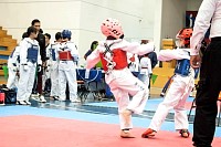 21022026torneo_tae_kwon_do2026299.jpg
