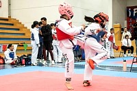 21022026torneo_tae_kwon_do2026301.jpg