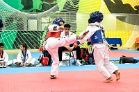 21022026torneo_tae_kwon_do2026309.jpg