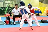21022026torneo_tae_kwon_do2026336.jpg