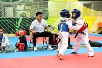 21022026torneo_tae_kwon_do2026337.jpg