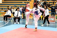21022026torneo_tae_kwon_do2026363.jpg