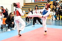 21022026torneo_tae_kwon_do2026366.jpg