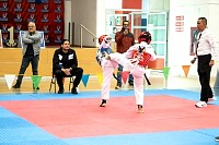 21022026torneo_tae_kwon_do2026367.jpg