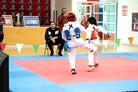 21022026torneo_tae_kwon_do2026376.jpg