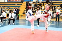21022026torneo_tae_kwon_do2026378.jpg