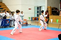 21022026torneo_tae_kwon_do202637.jpg