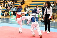 21022026torneo_tae_kwon_do2026381.jpg