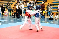 21022026torneo_tae_kwon_do2026382.jpg