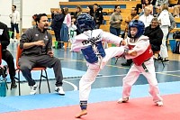 21022026torneo_tae_kwon_do2026384.jpg