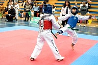 21022026torneo_tae_kwon_do2026388.jpg