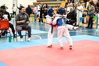 21022026torneo_tae_kwon_do2026391.jpg
