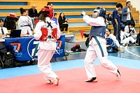 21022026torneo_tae_kwon_do2026419.jpg
