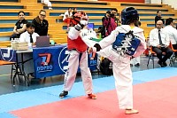 21022026torneo_tae_kwon_do2026435.jpg