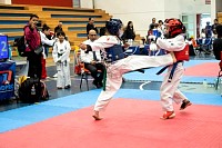 21022026torneo_tae_kwon_do2026437.jpg