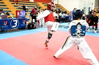 21022026torneo_tae_kwon_do2026439.jpg