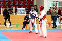21022026torneo_tae_kwon_do2026445.jpg