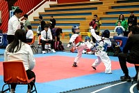 21022026torneo_tae_kwon_do202644.jpg