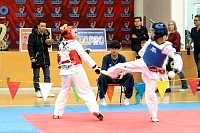 21022026torneo_tae_kwon_do2026450.jpg
