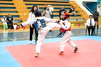 21022026torneo_tae_kwon_do2026451.jpg
