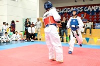 21022026torneo_tae_kwon_do2026484.jpg