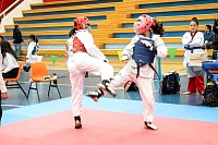21022026torneo_tae_kwon_do2026519.jpg