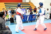 21022026torneo_tae_kwon_do2026523.jpg