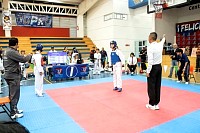 21022026torneo_tae_kwon_do2026529.jpg
