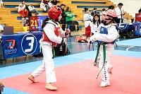 21022026torneo_tae_kwon_do2026537.jpg
