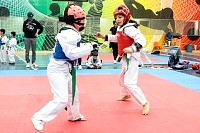 21022026torneo_tae_kwon_do2026550.jpg