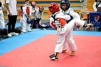 21022026torneo_tae_kwon_do202692.jpg