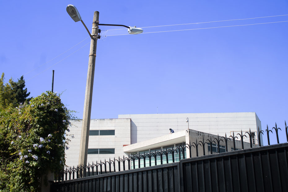 Ir a la Siguiente Foto