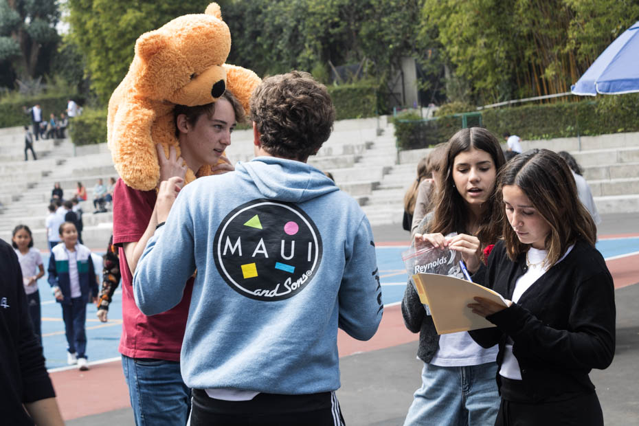 Ir a la Siguiente Foto