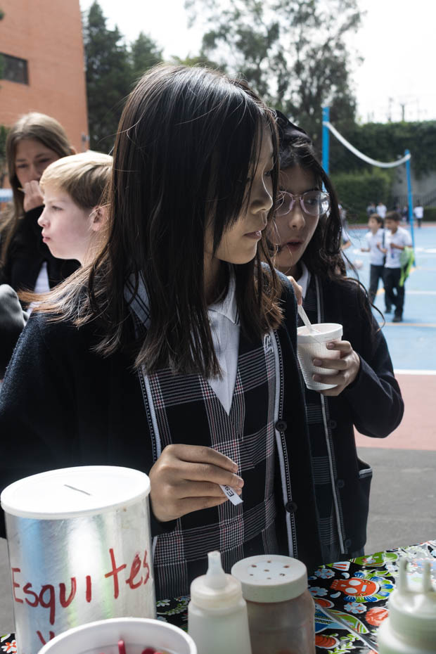 Ir a la Siguiente Foto