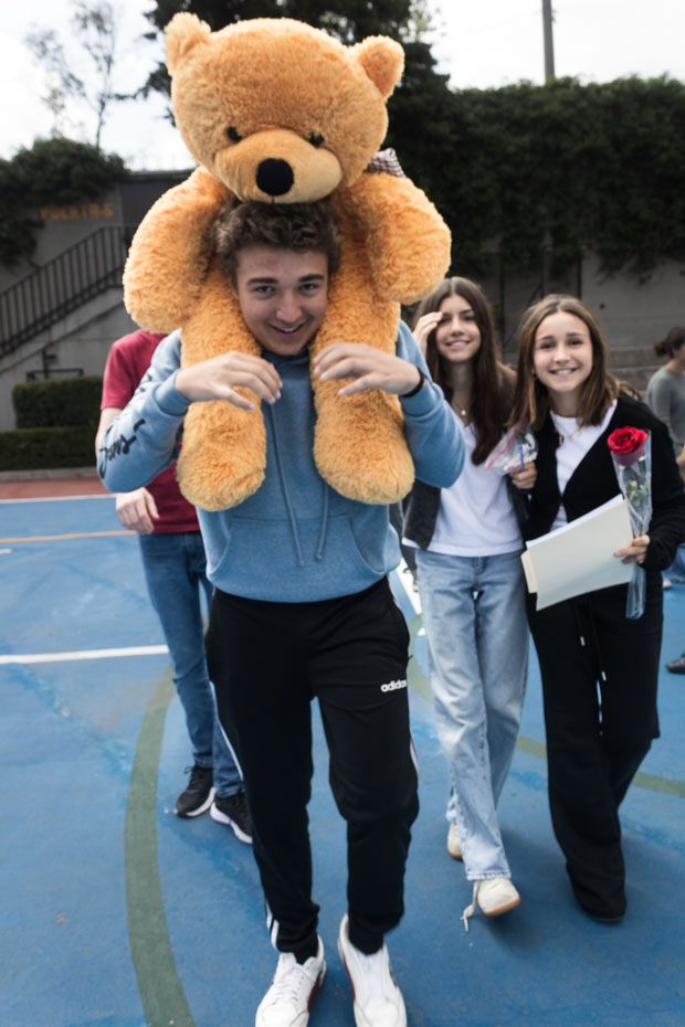 Ir a la Siguiente Foto