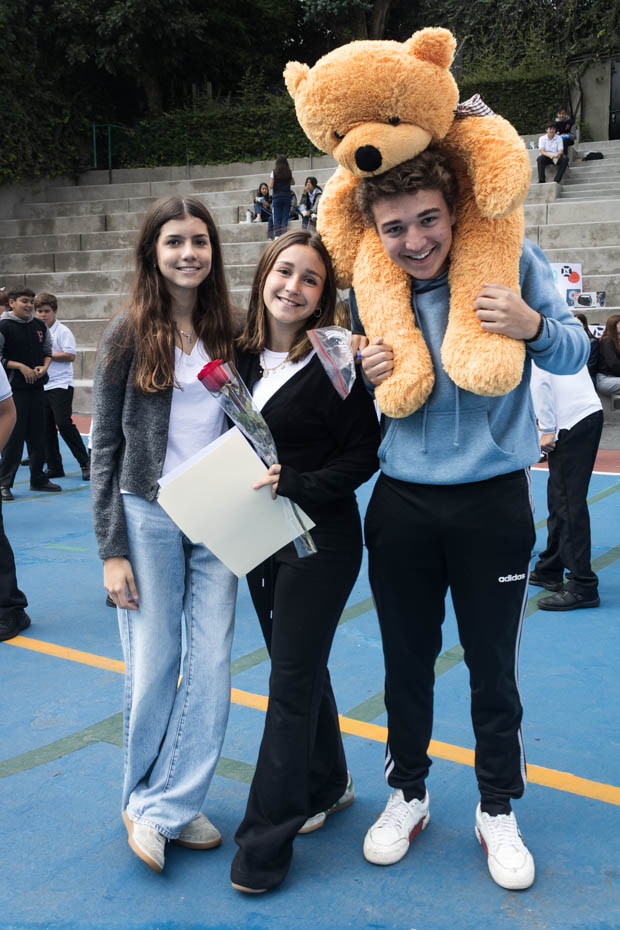 Ir a la Siguiente Foto