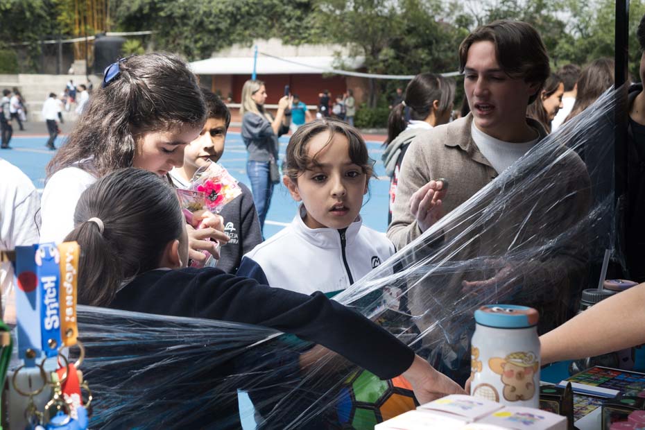 Ir a la Siguiente Foto