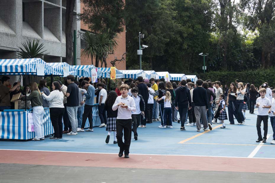 Ir a la Siguiente Foto