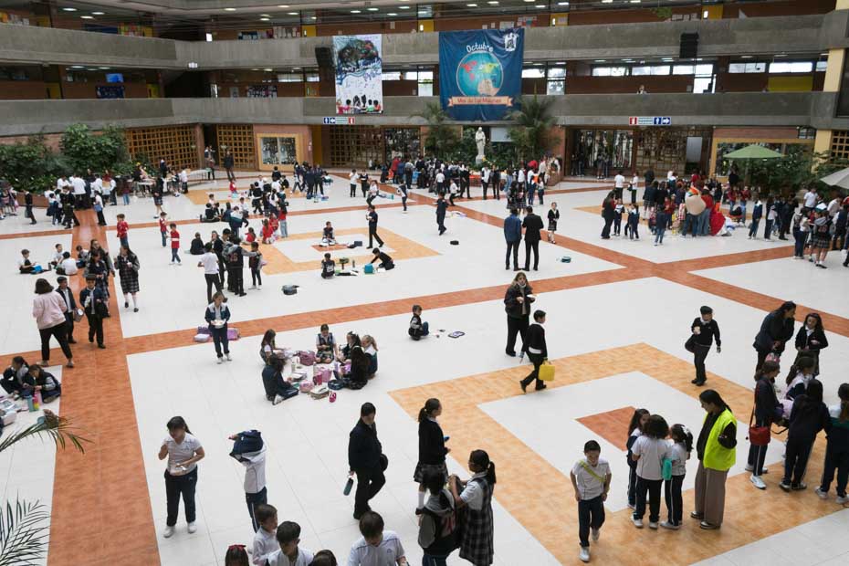 Ir a la Siguiente Foto